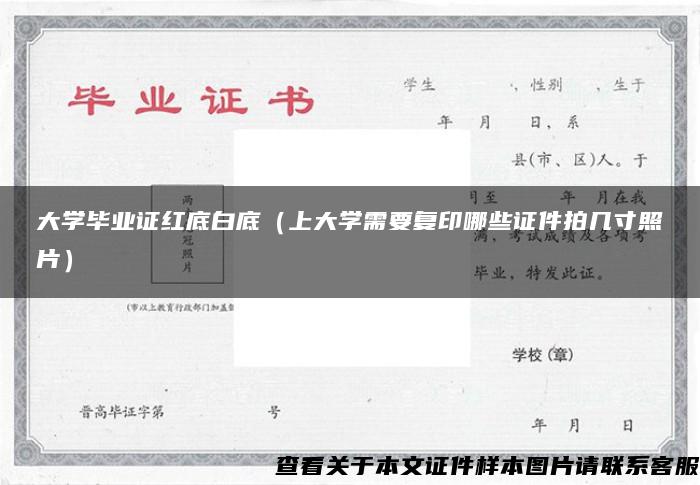 大学毕业证红底白底（上大学需要复印哪些证件拍几寸照片）