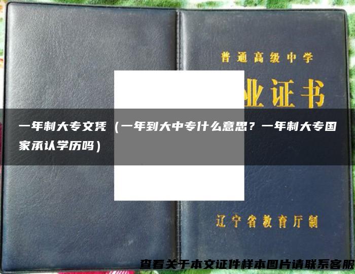 一年制大专文凭（一年到大中专什么意思？一年制大专国家承认学历吗）