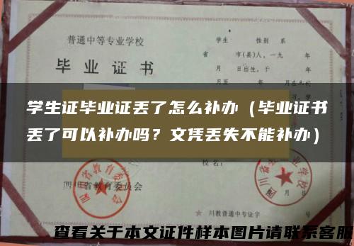 学生证毕业证丢了怎么补办（毕业证书丢了可以补办吗？文凭丢失不能补办）