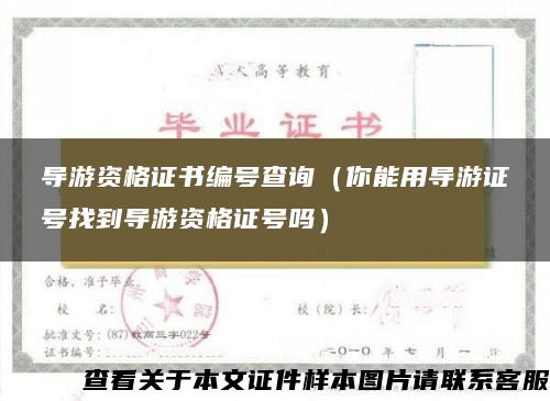 导游资格证书编号查询（你能用导游证号找到导游资格证号吗）