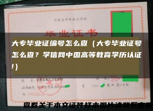 大专毕业证编号怎么查（大专毕业证号怎么查？学信网中国高等教育学历认证!）