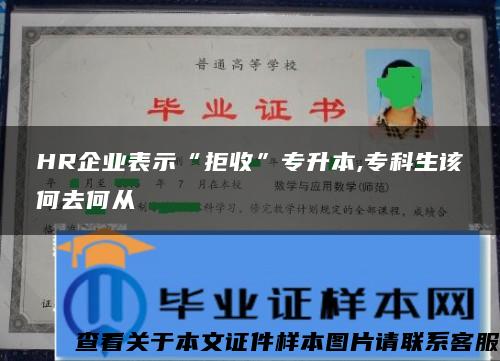 HR企业表示“拒收”专升本,专科生该何去何从