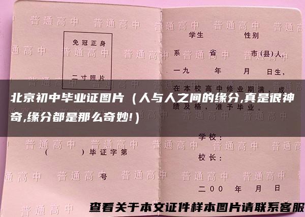 北京初中毕业证图片（人与人之间的缘分,真是很神奇,缘分都是那么奇妙!）