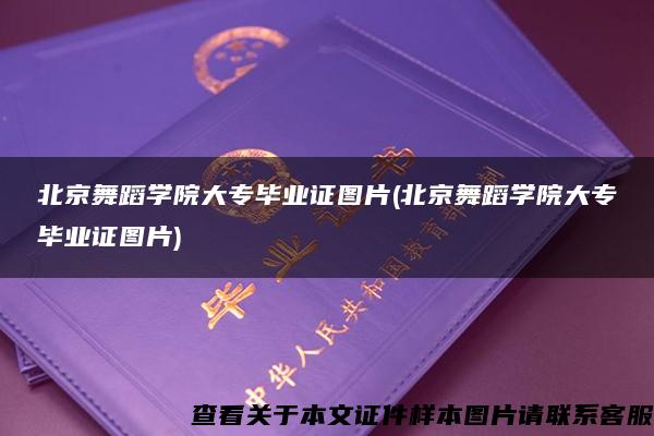 北京舞蹈学院大专毕业证图片(北京舞蹈学院大专毕业证图片)