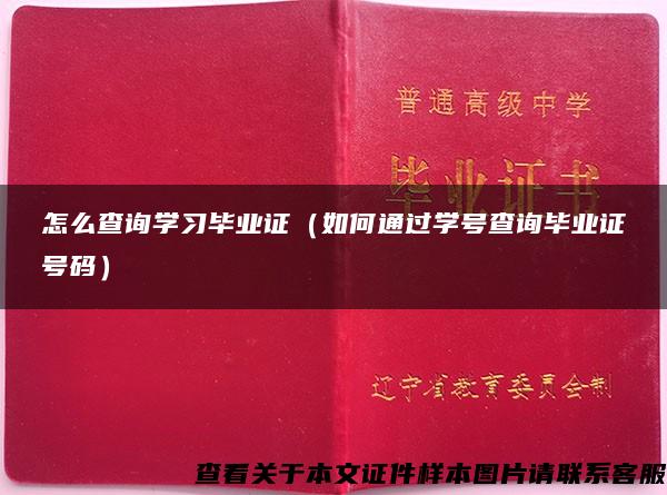 怎么查询学习毕业证（如何通过学号查询毕业证号码）