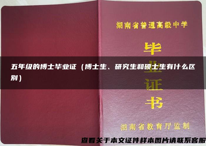 五年级的博士毕业证（博士生、研究生和硕士生有什么区别）