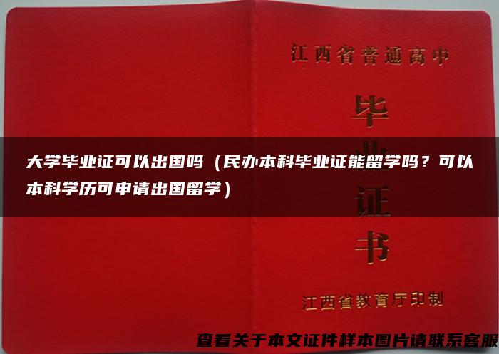 大学毕业证可以出国吗（民办本科毕业证能留学吗？可以本科学历可申请出国留学）