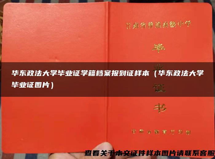 华东政法大学毕业证学籍档案报到证样本（华东政法大学毕业证图片）