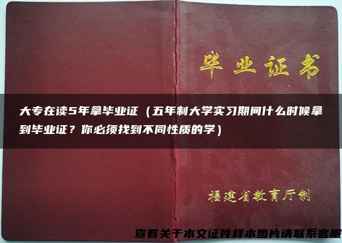 大专在读5年拿毕业证（五年制大学实习期间什么时候拿到毕业证？你必须找到不同性质的学）