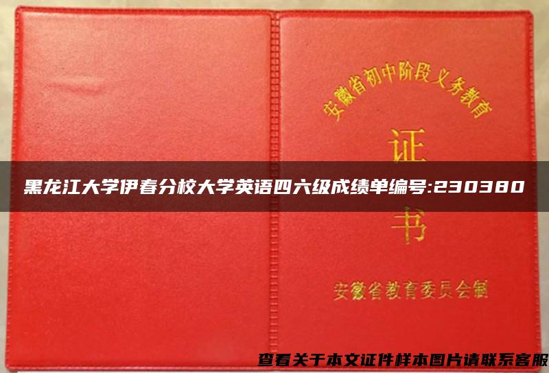 黑龙江大学伊春分校大学英语四六级成绩单编号:230380