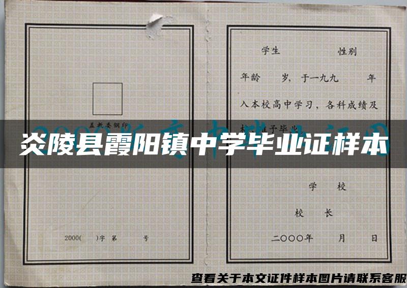 炎陵县霞阳镇中学毕业证样本