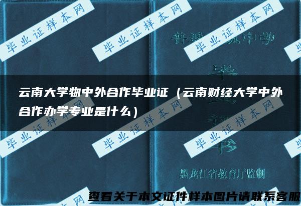 云南大学物中外合作毕业证（云南财经大学中外合作办学专业是什么）