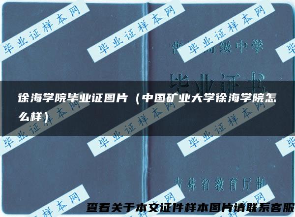 徐海学院毕业证图片（中国矿业大学徐海学院怎么样）