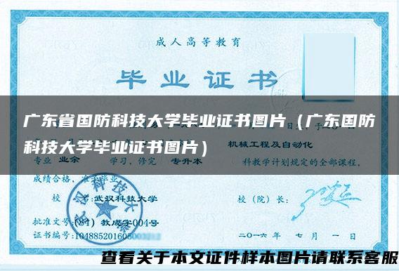 广东省国防科技大学毕业证书图片（广东国防科技大学毕业证书图片）