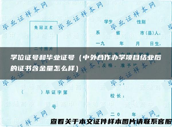 学位证号和毕业证号（中外合作办学项目结业后的证书含金量怎么样）