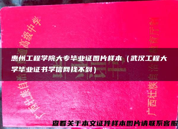 惠州工程学院大专毕业证图片样本（武汉工程大学毕业证书学信网找不到）