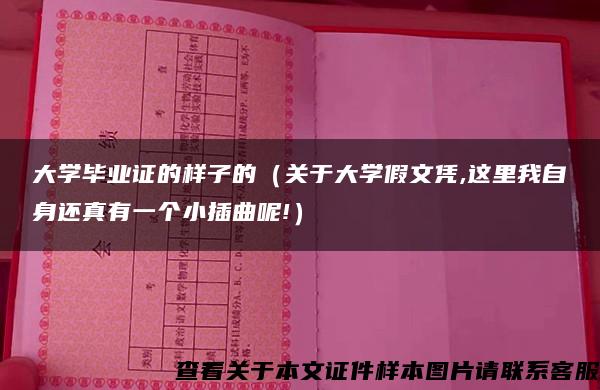 大学毕业证的样子的（关于大学假文凭,这里我自身还真有一个小插曲呢!）