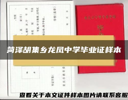 菏泽胡集乡龙凤中学毕业证样本