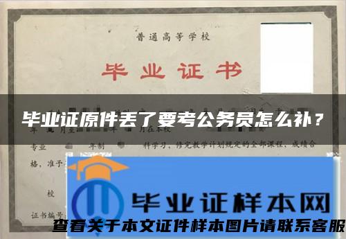 毕业证原件丢了要考公务员怎么补？