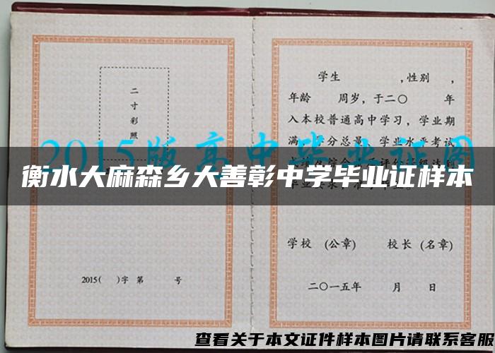 衡水大麻森乡大善彰中学毕业证样本