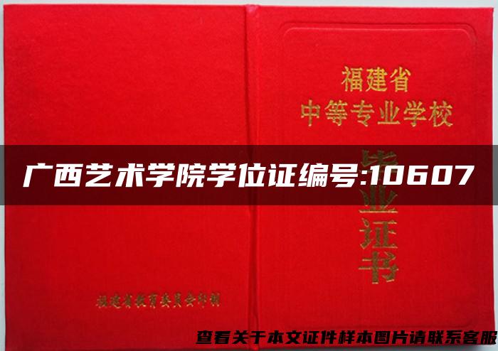 广西艺术学院学位证编号:10607