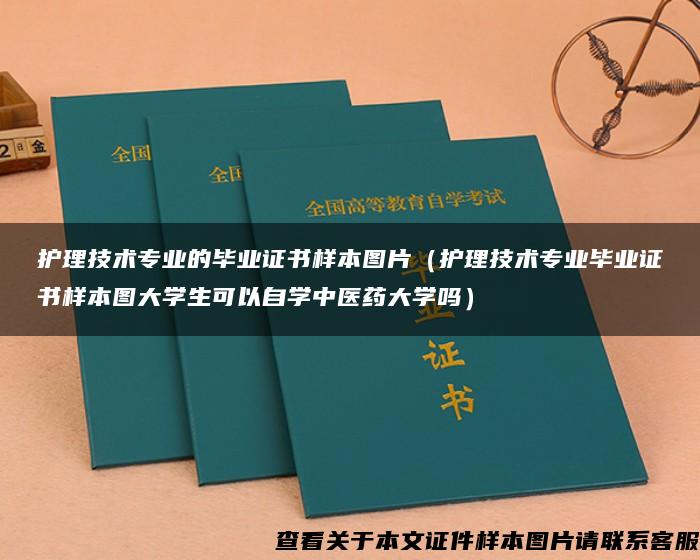 护理技术专业的毕业证书样本图片（护理技术专业毕业证书样本图大学生可以自学中医药大学吗）