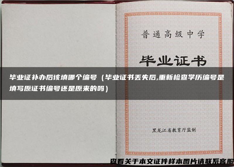 毕业证补办后该填哪个编号（毕业证书丢失后,重新检查学历编号是填写原证书编号还是原来的吗）