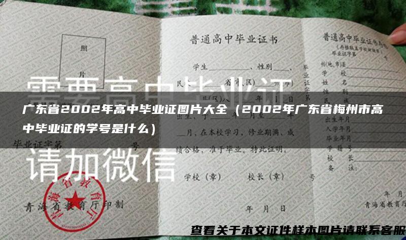 广东省2002年高中毕业证图片大全（2002年广东省梅州市高中毕业证的学号是什么）