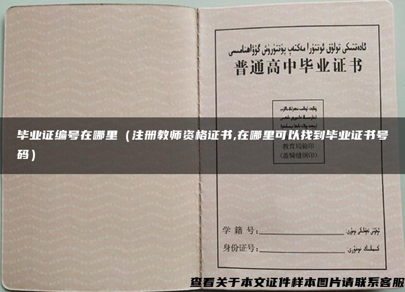 毕业证编号在哪里（注册教师资格证书,在哪里可以找到毕业证书号码）