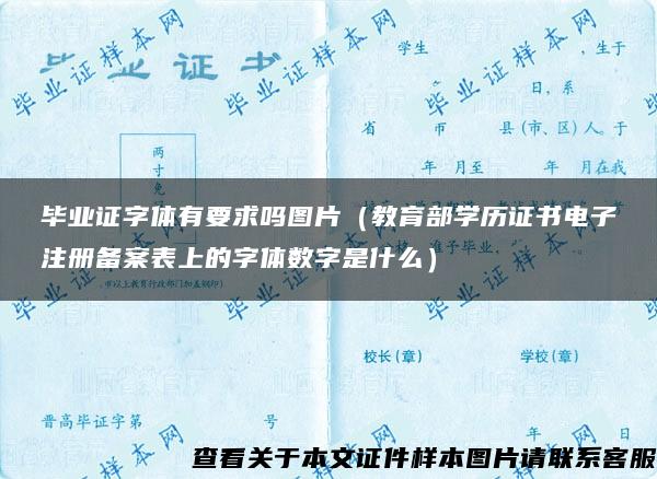 毕业证字体有要求吗图片（教育部学历证书电子注册备案表上的字体数字是什么）