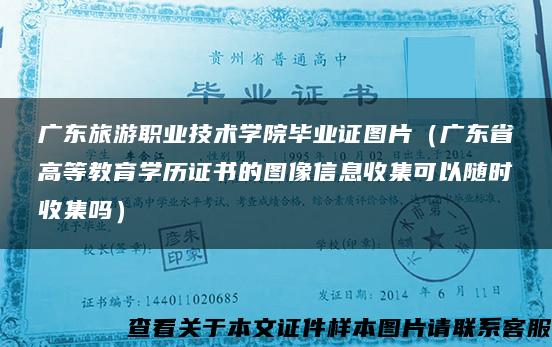 广东旅游职业技术学院毕业证图片（广东省高等教育学历证书的图像信息收集可以随时收集吗）