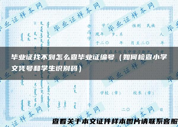 毕业证找不到怎么查毕业证编号（如何检查小学文凭号和学生识别码）