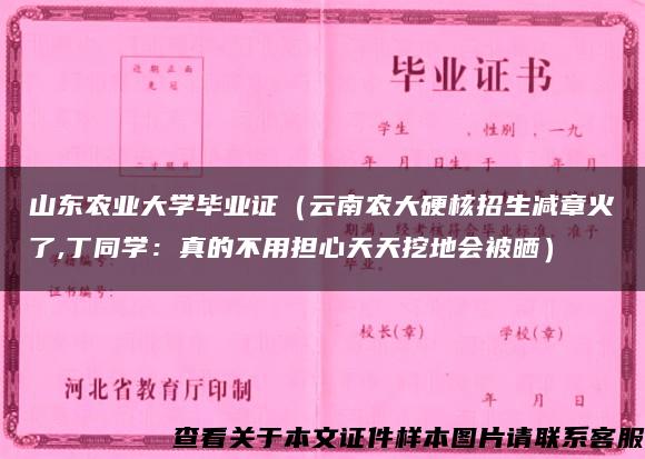 山东农业大学毕业证（云南农大硬核招生减章火了,丁同学：真的不用担心天天挖地会被晒）