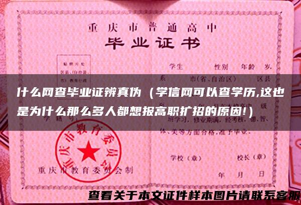 什么网查毕业证辨真伪（学信网可以查学历,这也是为什么那么多人都想报高职扩招的原因!）