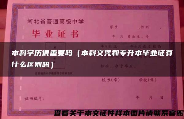 本科学历很重要吗（本科文凭和专升本毕业证有什么区别吗）