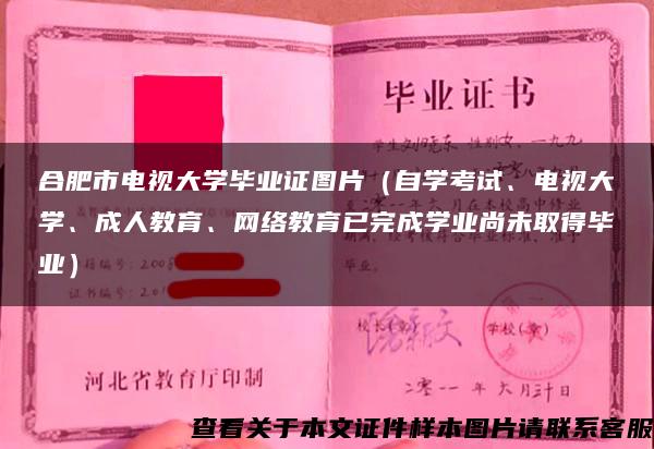 合肥市电视大学毕业证图片（自学考试、电视大学、成人教育、网络教育已完成学业尚未取得毕业）