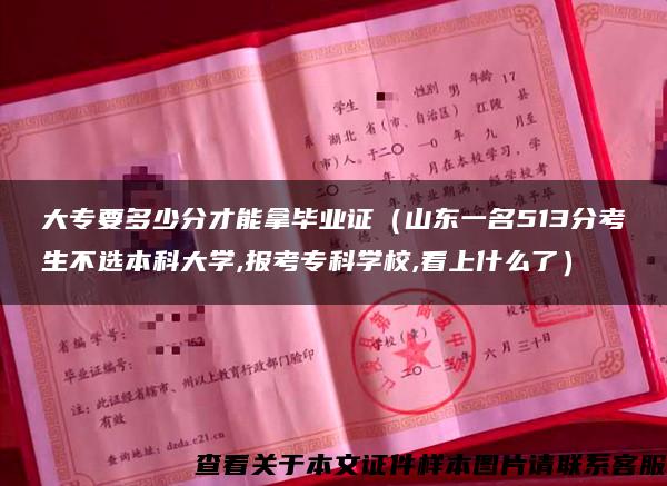 大专要多少分才能拿毕业证（山东一名513分考生不选本科大学,报考专科学校,看上什么了）