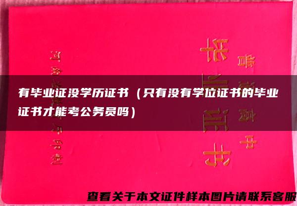 有毕业证没学历证书（只有没有学位证书的毕业证书才能考公务员吗）