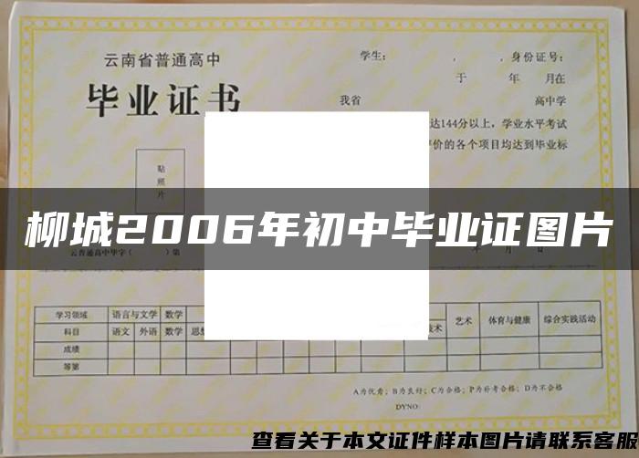 柳城2006年初中毕业证图片