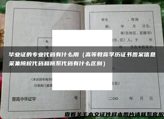 毕业证的专业代码有什么用（高等教育学历证书图案信息采集院校代码和院系代码有什么区别）