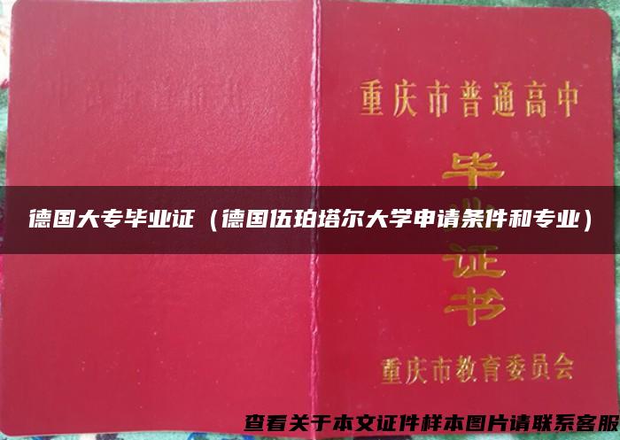 德国大专毕业证（德国伍珀塔尔大学申请条件和专业）