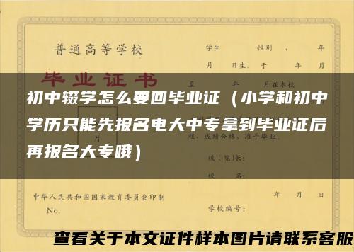 初中辍学怎么要回毕业证（小学和初中学历只能先报名电大中专拿到毕业证后再报名大专哦）