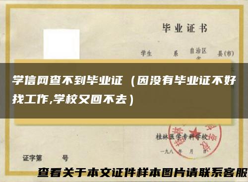 学信网查不到毕业证（因没有毕业证不好找工作,学校又回不去）