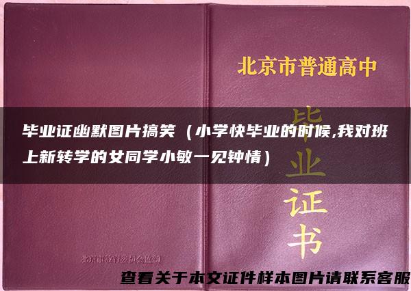 毕业证幽默图片搞笑（小学快毕业的时候,我对班上新转学的女同学小敏一见钟情）