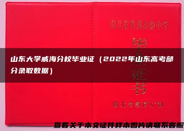 山东大学威海分校毕业证（2022年山东高考部分录取数据）