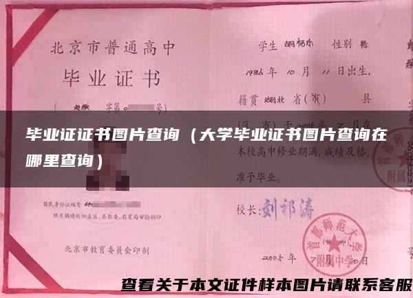 毕业证证书图片查询（大学毕业证书图片查询在哪里查询）