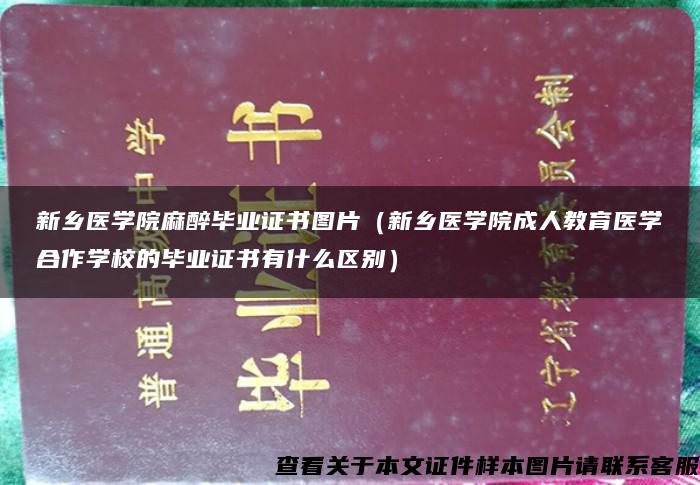 新乡医学院麻醉毕业证书图片（新乡医学院成人教育医学合作学校的毕业证书有什么区别）