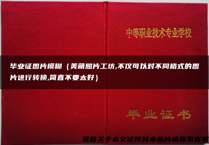 毕业证图片模糊（美萌照片工坊,不仅可以对不同格式的图片进行转换,简直不要太好）