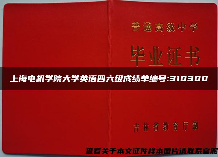 上海电机学院大学英语四六级成绩单编号:310300