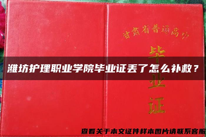 潍坊护理职业学院毕业证丢了怎么补救？